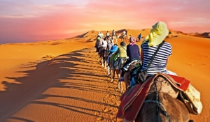 Camel Trek Morocco