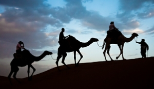 Camel Trek Morocco