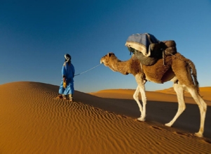 cultural and desert tour from Casablanca