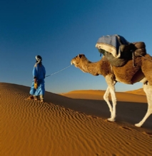 cultural and desert tour from Casablanca