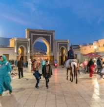 cultural and desert tours from Casablanca